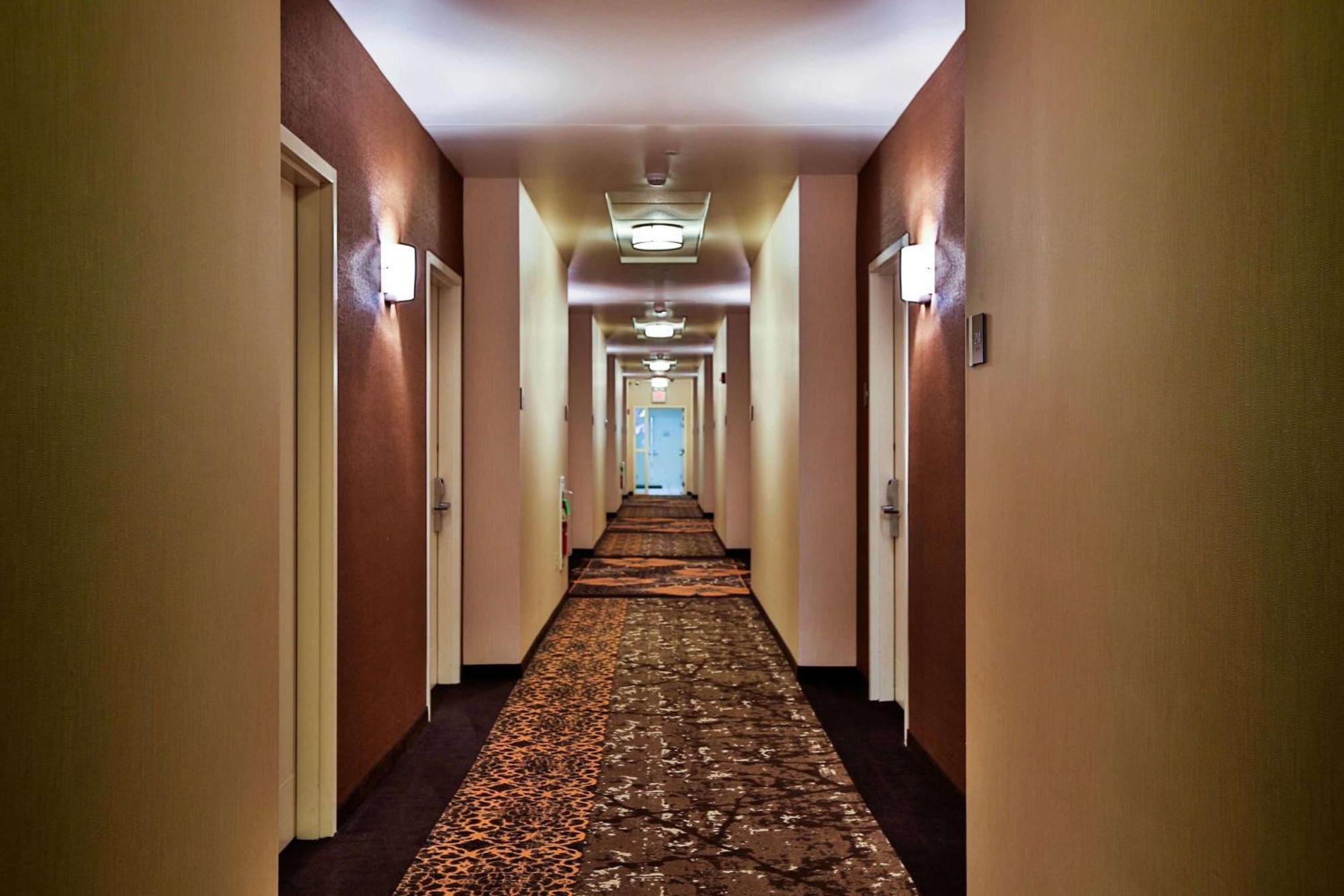 Hilton Garden Inn State College Buitenkant foto